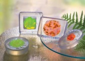Přírodní pigment do mýdla - ORANŽOVÝ