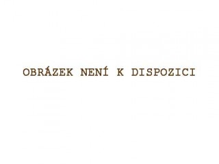 Scrapbook papír oboustr. - Zeleno-fialový / Amour