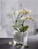 Alu drát - světle zelený, tloušťka 2mm, 2m 