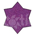Akrylová barva s glittery 100ml - fialová