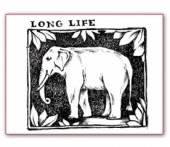 Razítko akrylové 7x5cm - Slon - Long Life