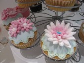 DOLCEMANIA Cupcakes