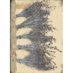 Filc s potiskem 15x21 - Levandule 