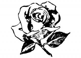 Razítko akrylové 7x5cm - Růže